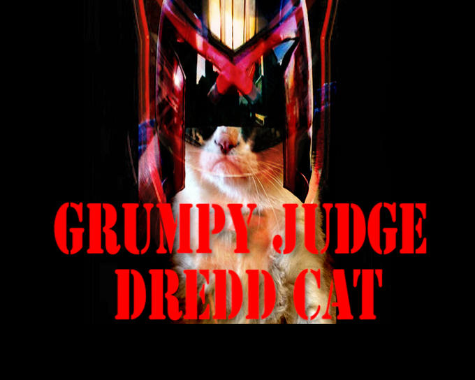 grumpy judge dredd cat