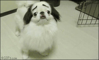 dcb.gif