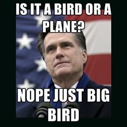 Is it a Bird or a Plane?