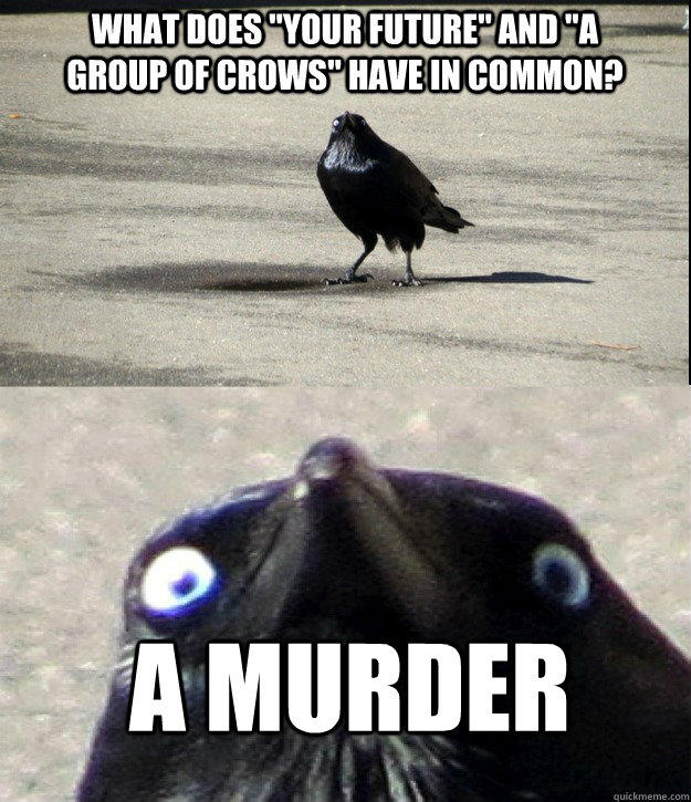 142.jpg