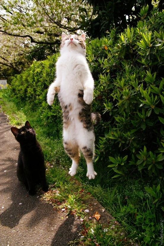 Still a better conflict than X-Men 3.