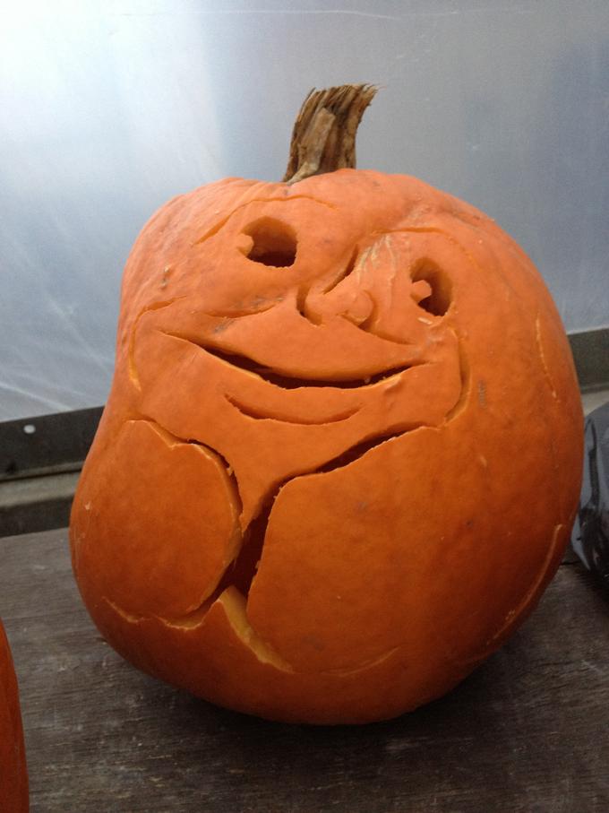 FOREVER A PUMPKIN