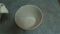 [Image: 6ca.gif]