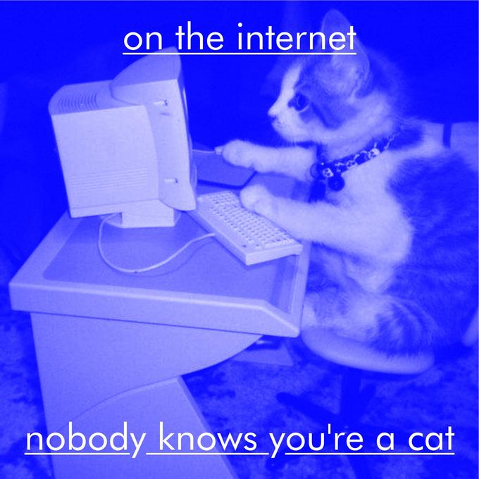 On the Internet, Nobody Knows You're a Cat