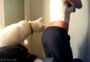 127.gif