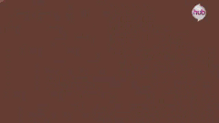 e31.gif