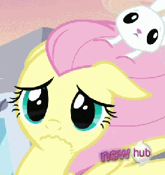 897.gif