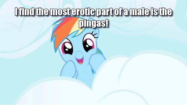 I find the most erotic part of a male is the pingas!
