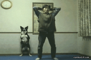 Dog And Owner Exercising
