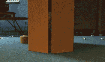 a47.gif