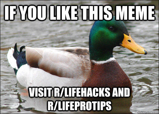 f25.jpg