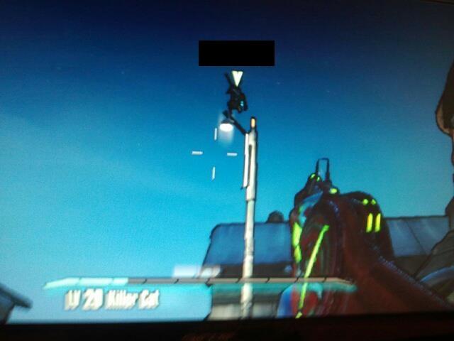Borderlands 2 Owling?