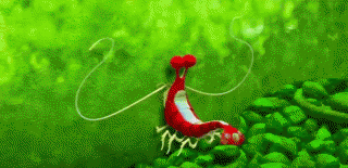 ce6.gif