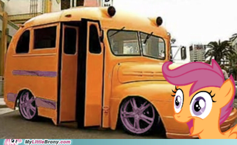 Beep Beep Ima Bus
