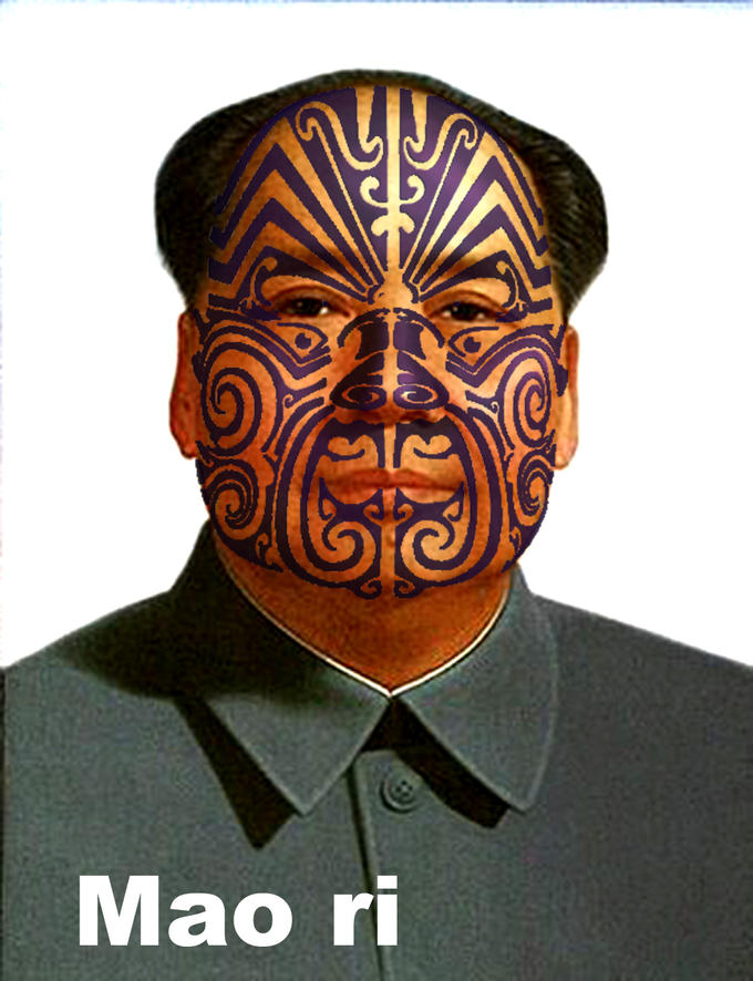 Māo ri