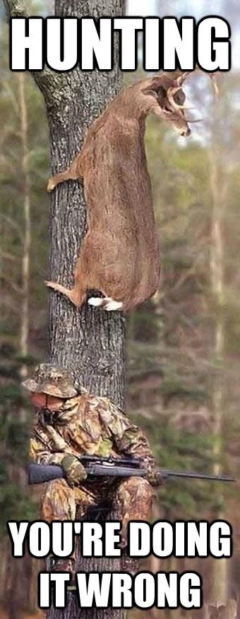 Hunting It Wrong