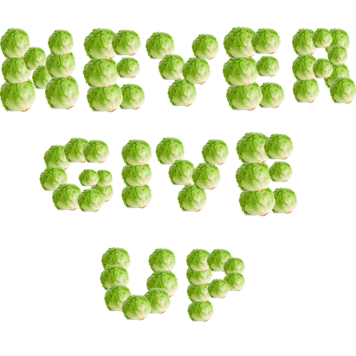 0e2.png