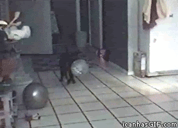 a0f.gif