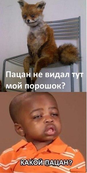 307.jpg