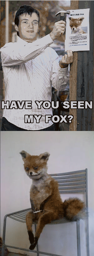 Missing Fox