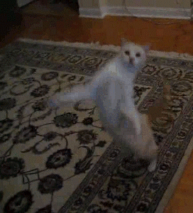 7a4.gif
