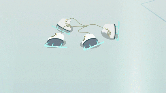 82d.gif