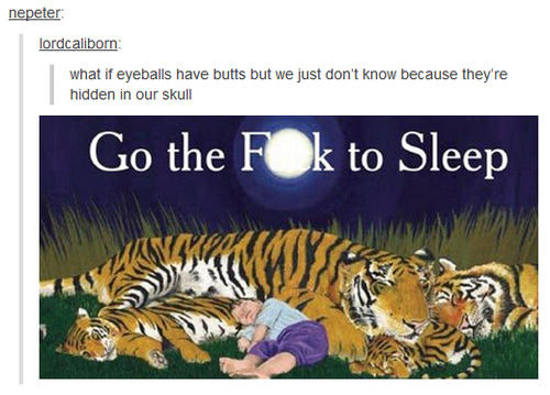 b1d.jpg
