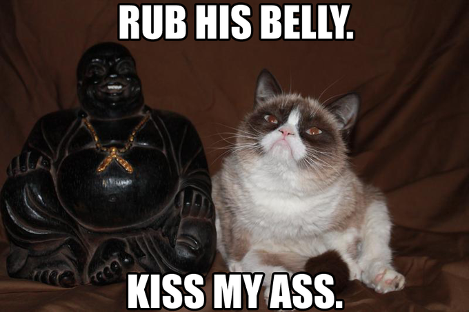 Budha vs Grumpy Cat
