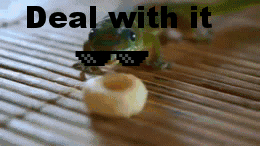 169.gif