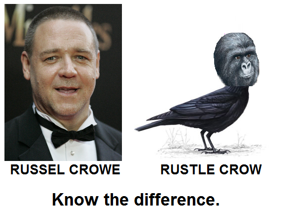 Know the difference
