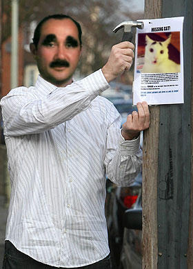 Have you seen my cat ? 