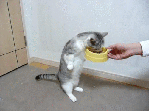 424.gif