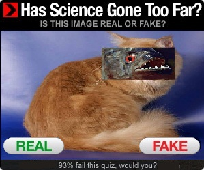 e00.png