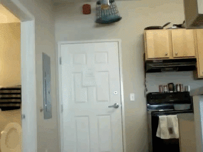 628.gif
