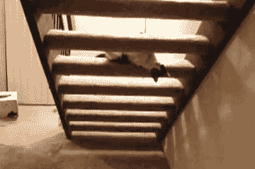 e6f.gif