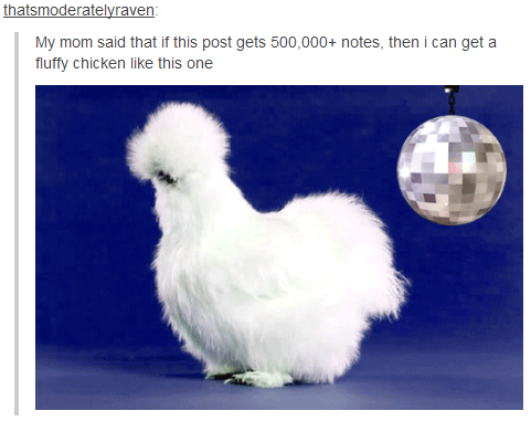 8be.png