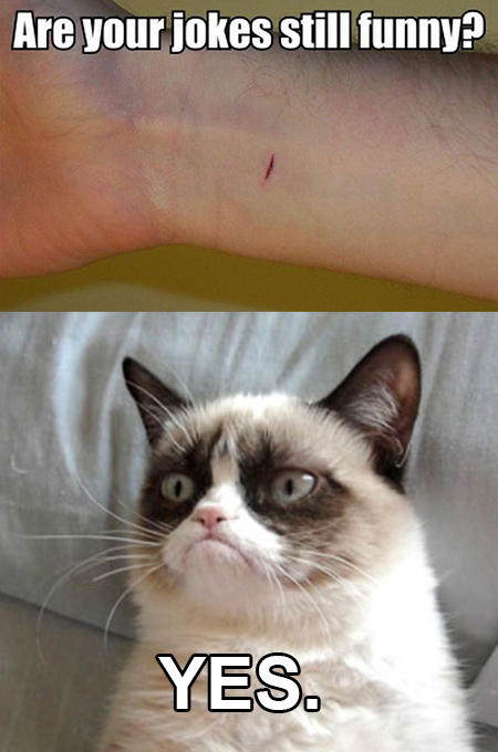 Paper Cut