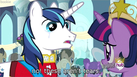 19b.gif