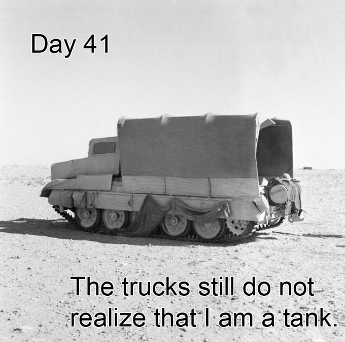 c62.jpeg