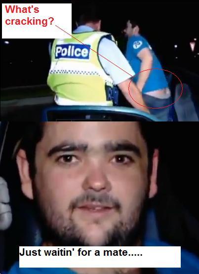 What's Cracking?