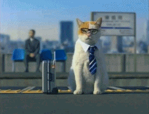 9f5.gif