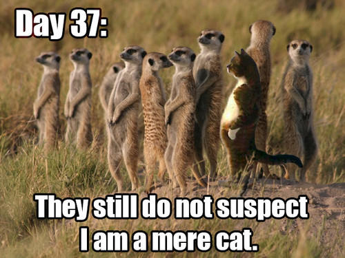 5b6.jpg