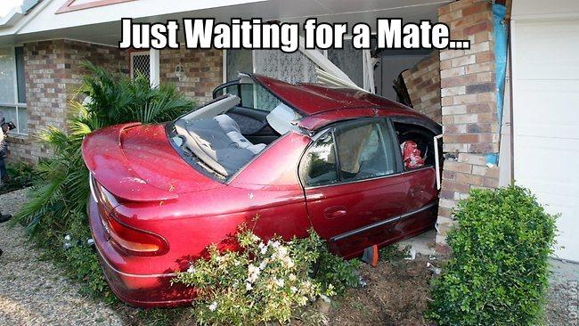 Just waiting for a mate...