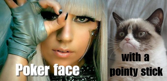 grumpy cat meets lady gaga
