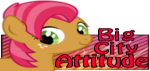 8c9.png
