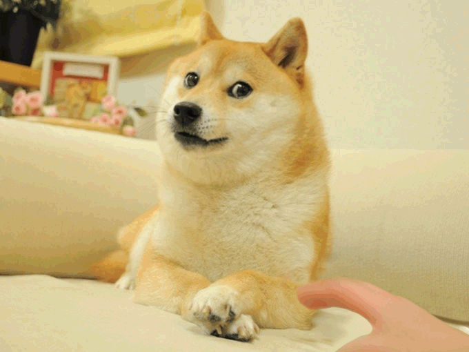 b7c.gif