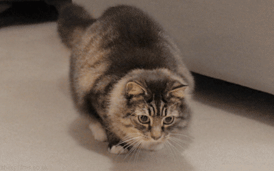 912