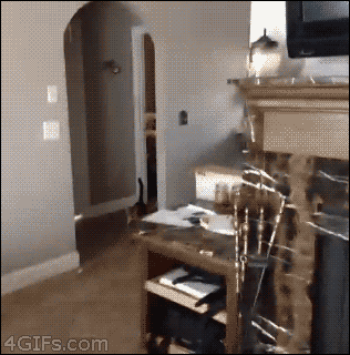 af6.gif