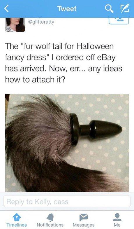 309.jpg