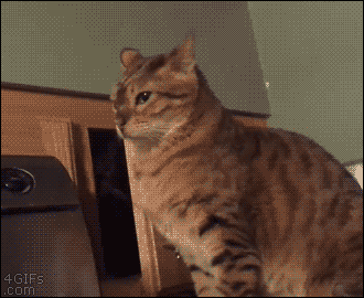 [Image: e09.gif]